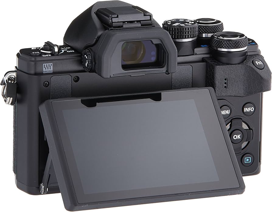 Amazon.com : OM SYSTEM Olympus OM-D E-M10 Mark II Mirrorless Micro