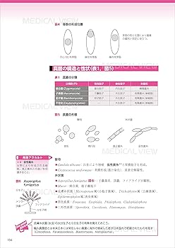 臨床検査技師イエロー・ノート−臨床血液学,臨床微生物学,臨床免疫学