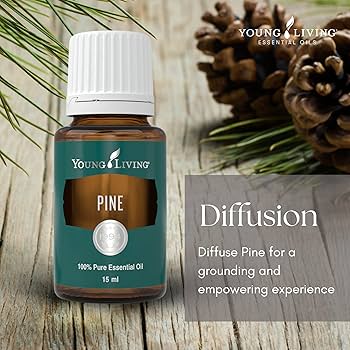 Amazon.com: Young Living Pine Essential Oil | 15 ml | Fresh