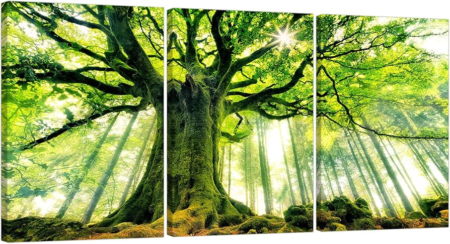 Amazon.co.jp: 森の大きな木 緑の絵画 アートパネル 3枚 風景画 自然
