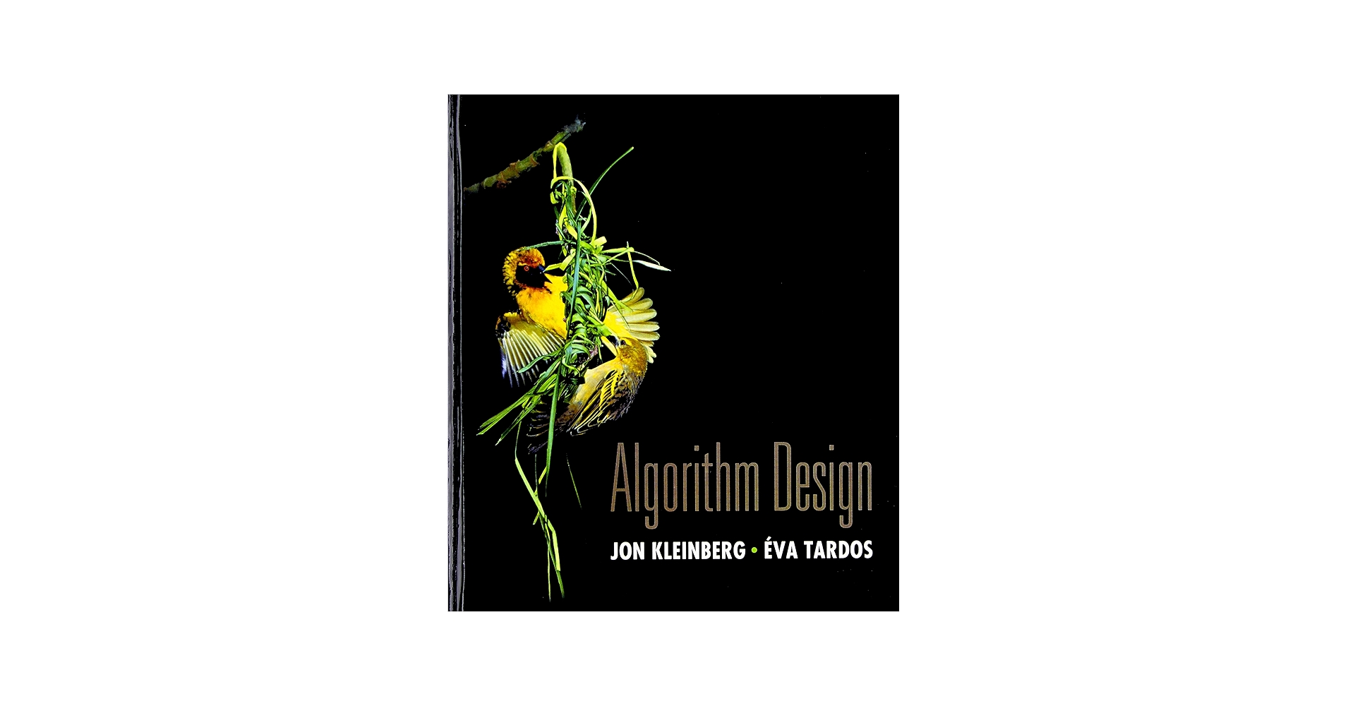 81onzAm2kgL.jpg_BO30,255,255,