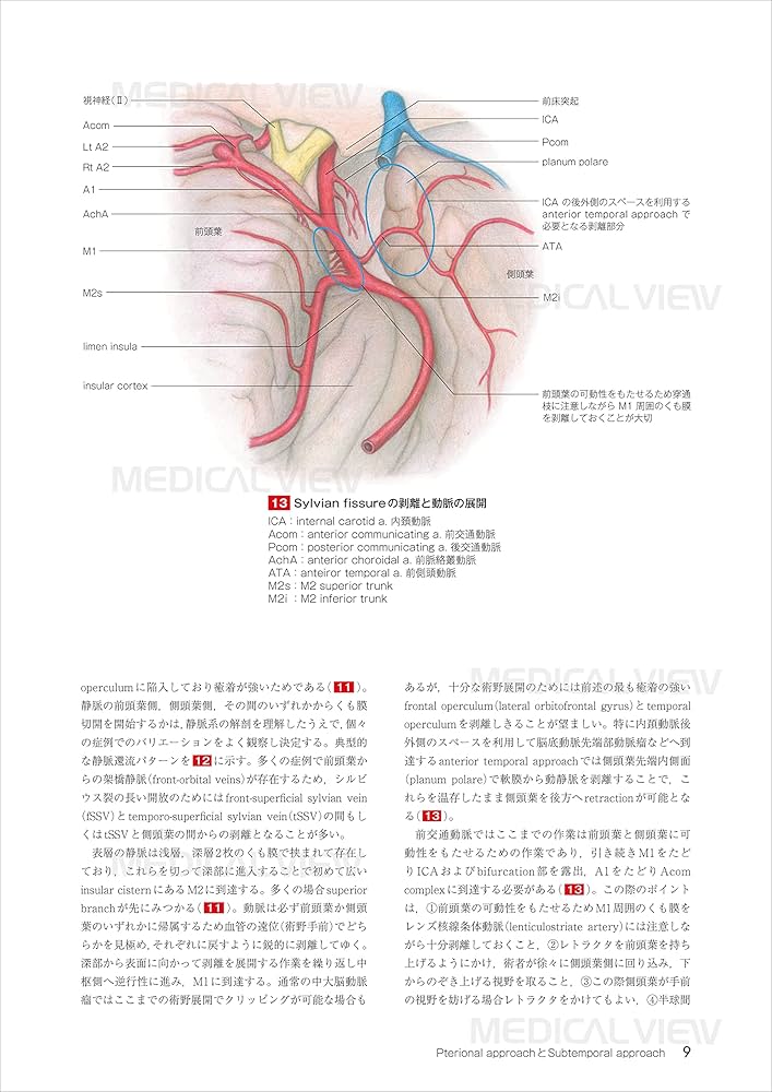 新 脳神経外科手術のための解剖学 | 塩川 芳昭, 斉藤 延人, 川原 信隆