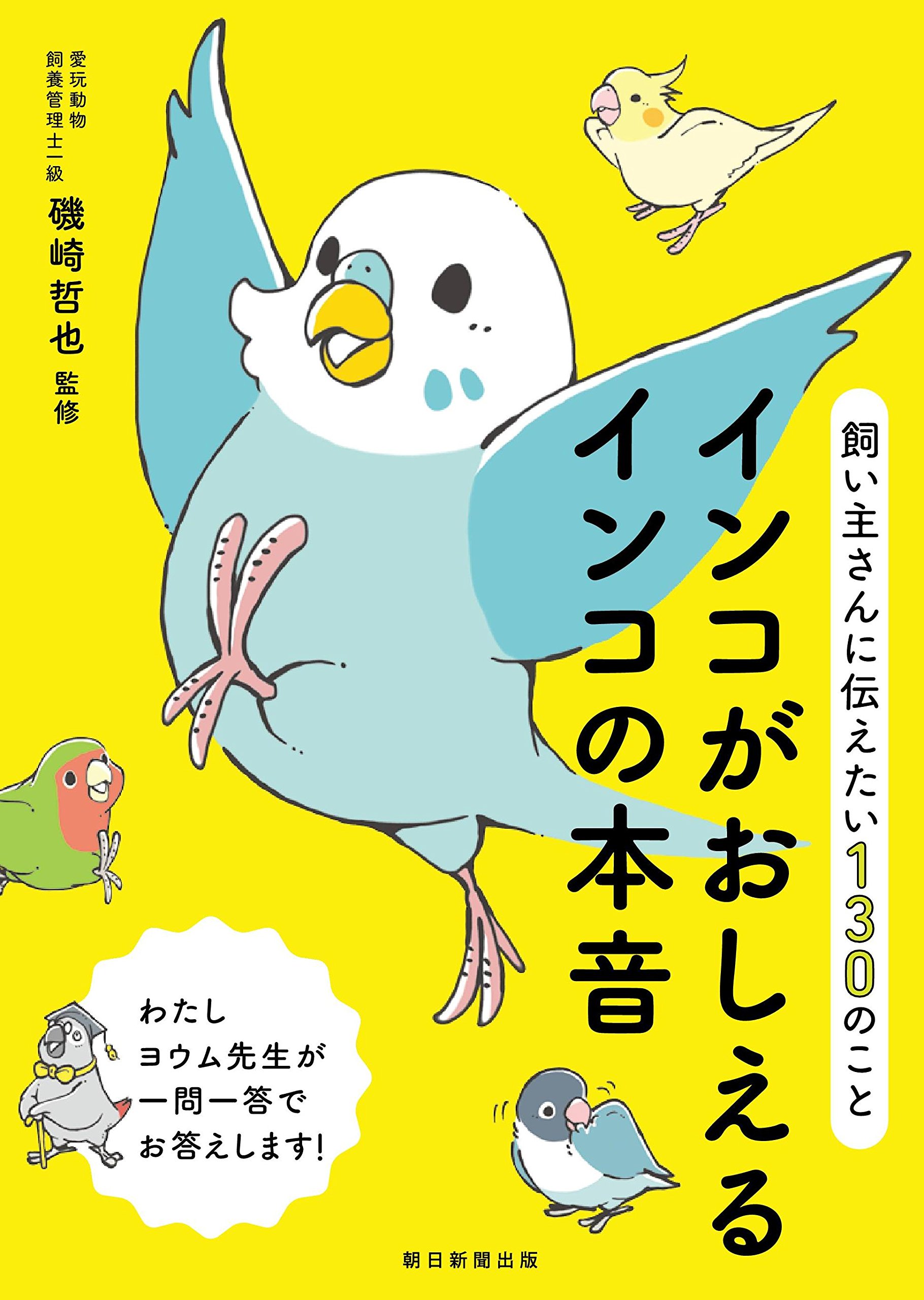 飼い主さんに伝えたい130のこと インコがおしえるインコの本音 | 磯崎