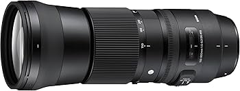 Amazon.com : Sigma 150-600mm f/5-6.3 DG OS HSM Contemporary Lens
