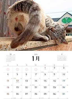 Amazon | ハゴロモ にゃんたまカレンダー2026/芳澤ルミ子 2026年