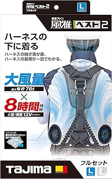 81pCad+QmHL._AC_UF350,