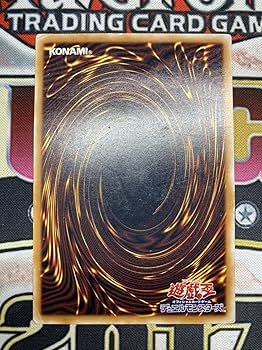 Amazon.co.jp: 希少 青艶レリーフ青眼の白龍 アルティメットレア