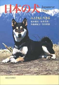 81qunRN5Z1L._AC_UF350,