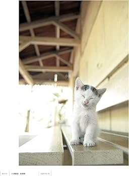 Amazon.co.jp: 中井精也写真集 1日1鉄! : 中井精也: 本