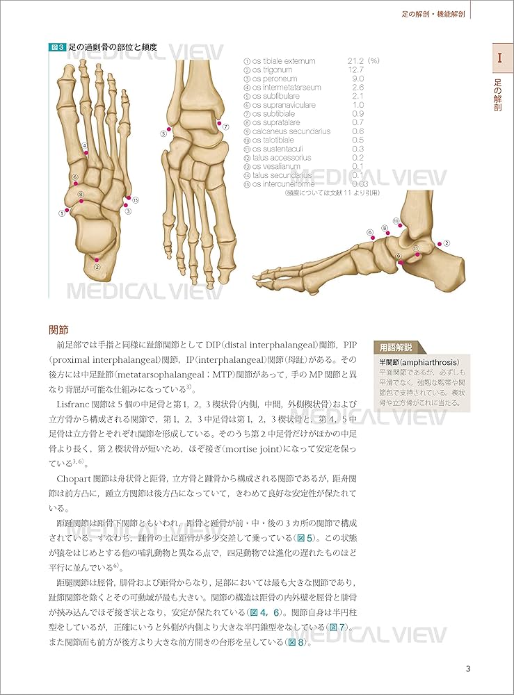 図説 足の臨床−第4版 | 高倉 義典, 田中 康仁, 谷口 晃 |本 | 通販