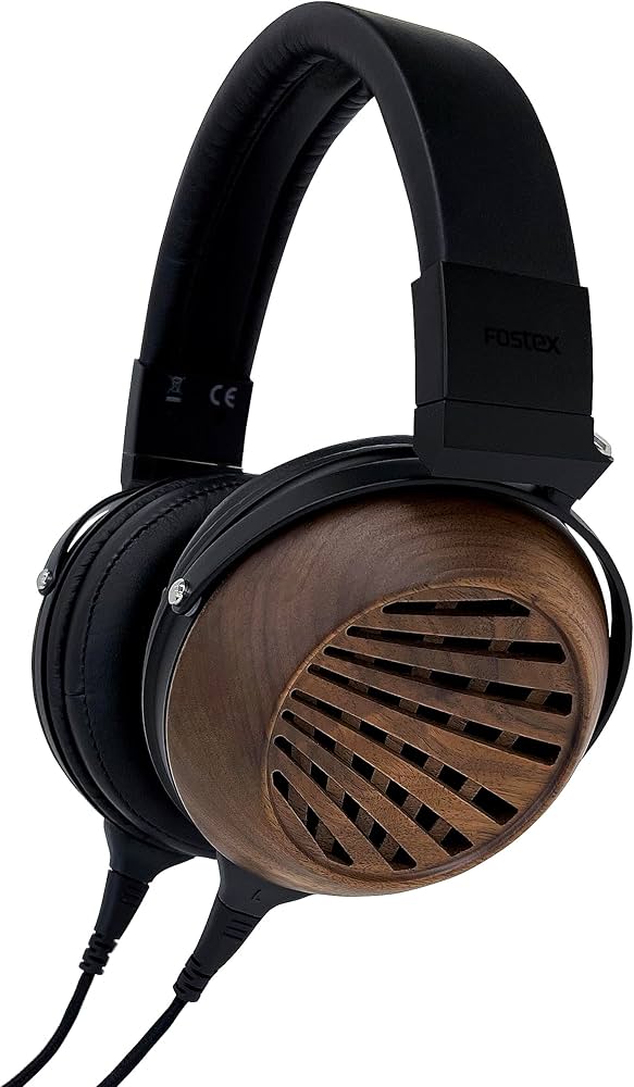 Amazon.com: Fostex TH616 Premium Open Back Audiophile Headphones