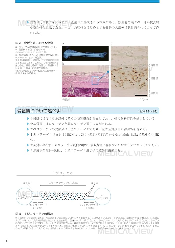 整形外科専門医へのminimal requirements | 山崎 正志, 髙相 晶士