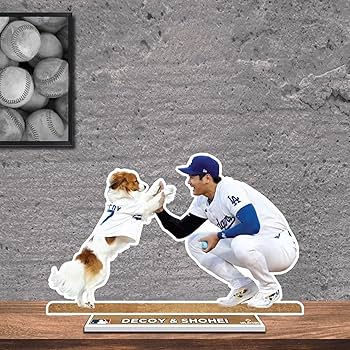 81sV7mr+viL._AC_UF350,