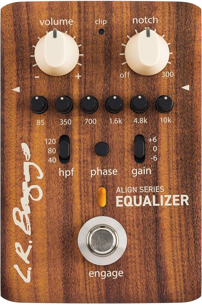 Amazon.com: L.R. Baggs Align Equalizer Acoustic Guitar Effects