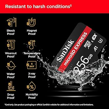 Amazon.com: SanDisk 256GB microSD Express Card - Works with