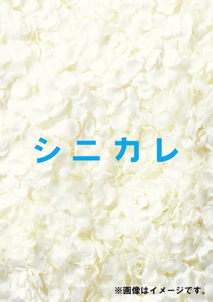 Amazon.co.jp: シニカレ完全版 ブルーレイBOX [Blu-ray] : 藤ヶ谷太輔