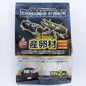 Lサイズ × 5本 クヌギ 土埋め レイシ (霊芝) 産卵材 柔らか仕上げ