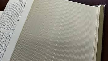 81a8TLYwXNL._AC_UF350,