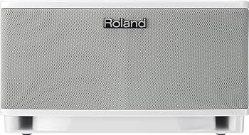 Amazon | Roland ステレオ・モニター・アンプ CUBE Lite MONITOR CUBE