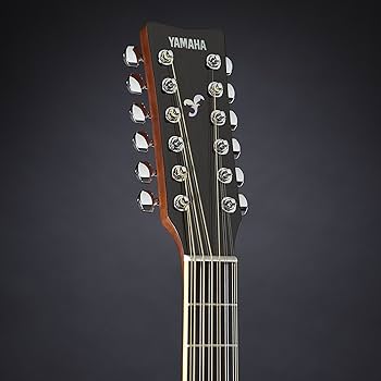 Amazon.co.jp: ヤマハ YAMAHA アコースティックギター 12弦 FG820-12