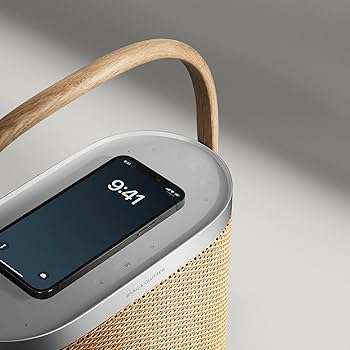 Amazon.com: Bang & Olufsen Beosound A5 - Portable Bluetooth
