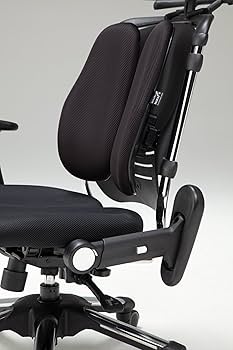 Amazon.co.jp: Hara Chair ハラチェア ニーチェ≪回転肘モデル