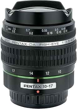 81b1Do+NN7L._AC_UF350,