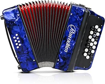 Amazon.com: Accordion - 22 keys 8 bass, lightweight piano