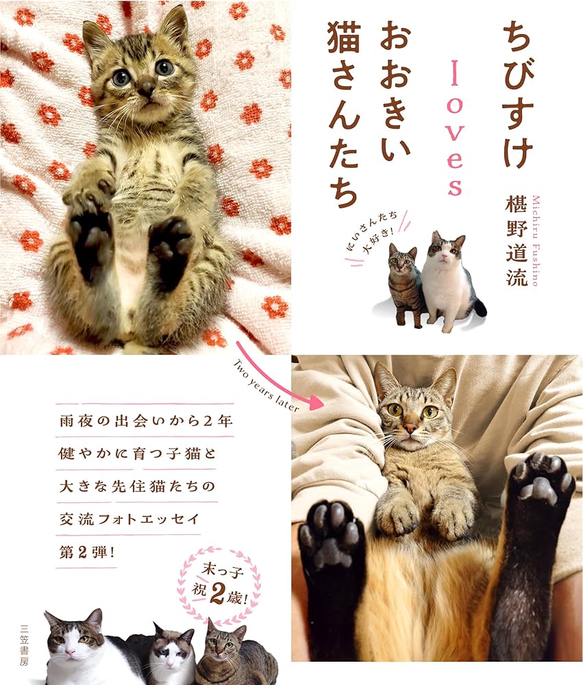 Amazon.co.jp: ちびすけlovesおおきい猫さんたち (単行本) : 椹野 道流: 本