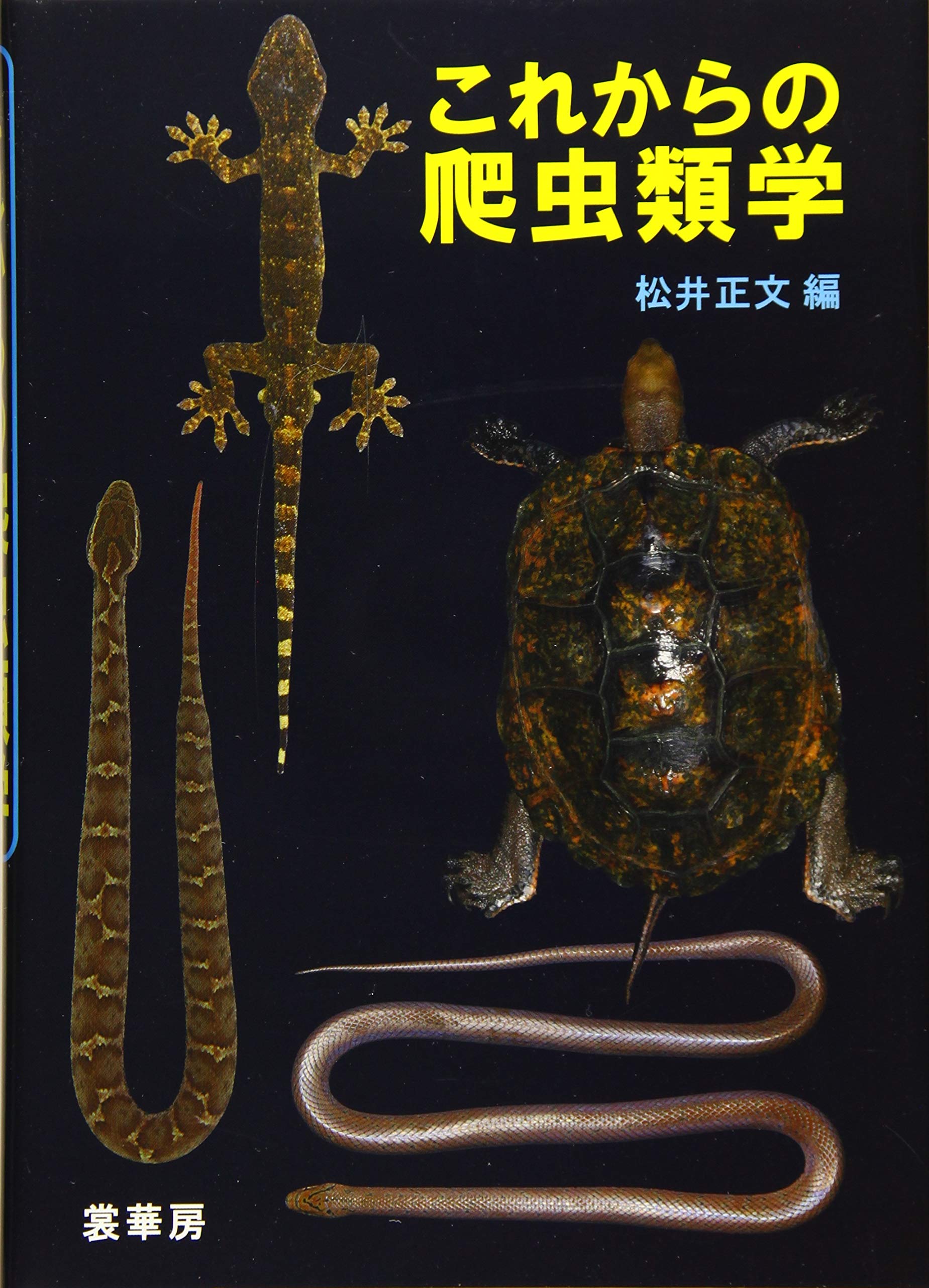 これからの爬虫類学 | 松井 正文 |本 | 通販 | Amazon