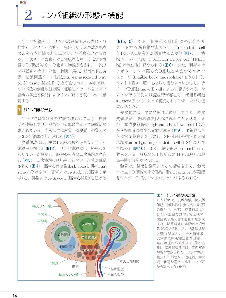 リンパ腫アトラス 第6版 | 中村直哉, 大島孝一, 加留部謙之輔, 佐藤