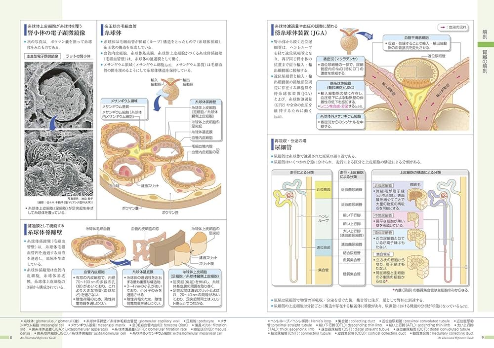 病気がみえる vol.8 腎・泌尿器 第3版 | 医療情報科学研究所 |本