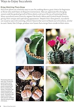 The Essential Book of Succulents: A Guide to the 250 Best
