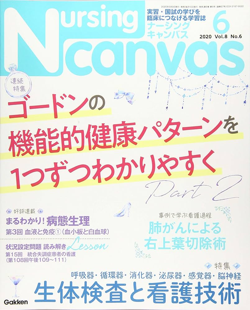 2020年～2023年版 ナーシングキャンバス Nursing canvas 2020年～2023
