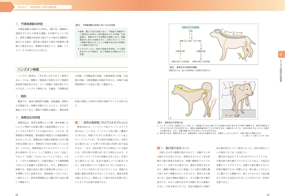 エッセンシャル 犬と猫の神経病診療 | 長谷川 大輔, 伊藤 大介 |本