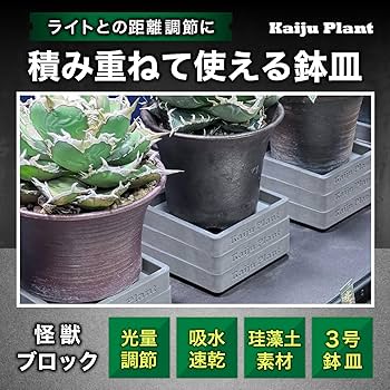 81eAdIbDSvL._AC_UF350,