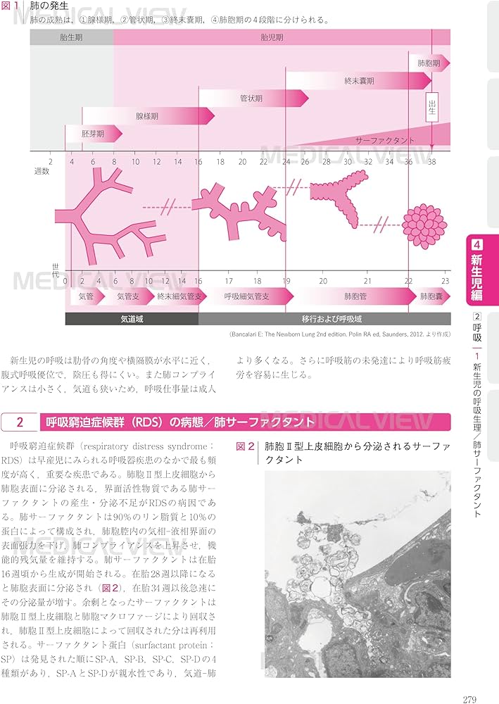専門医を目指す 周産期診療ワークブック−第3版 : 日本周産期・新生児