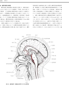 81ebPxyOzQL._AC_UF350,