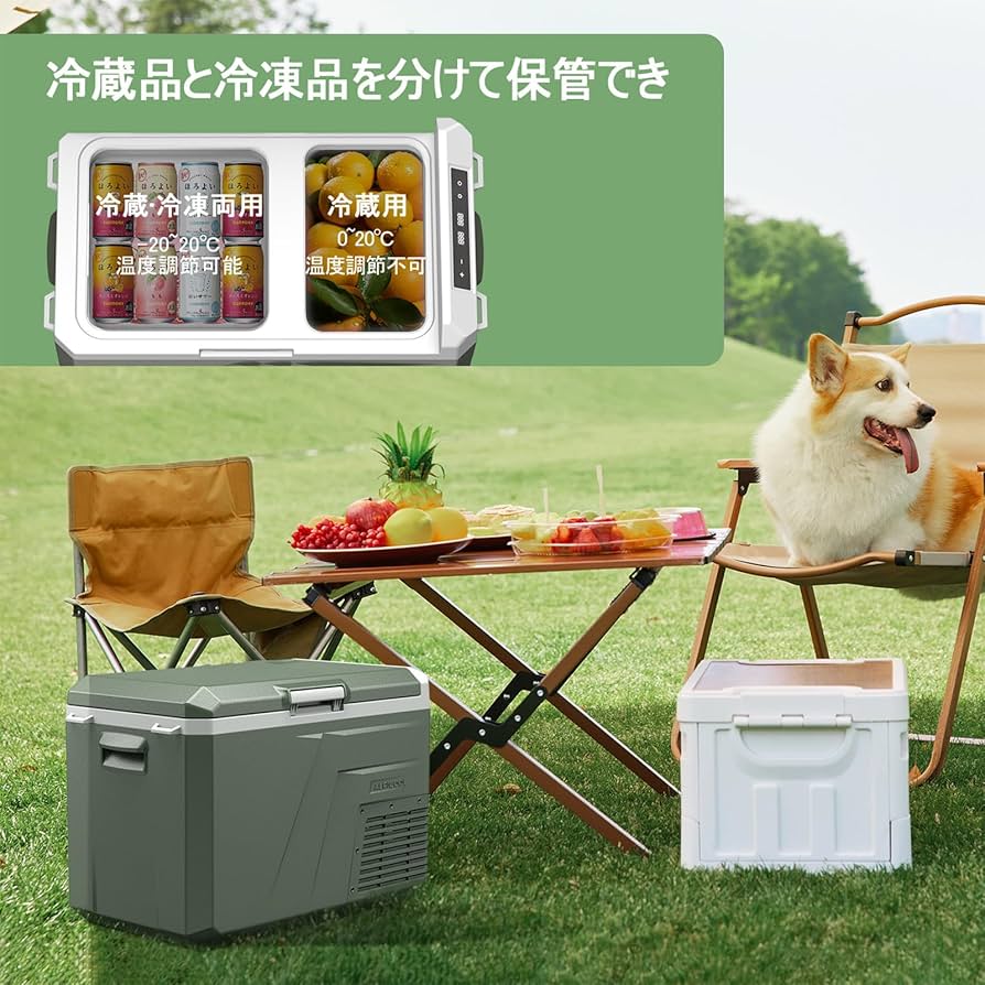 Amazon.co.jp: Alpicool 車載冷蔵庫 24L ポータブル冷蔵庫 2室 -20