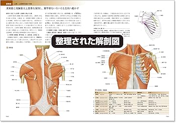 カラー図解 人体の正常構造と機能 全10巻縮刷版【電子書籍つき】改訂第