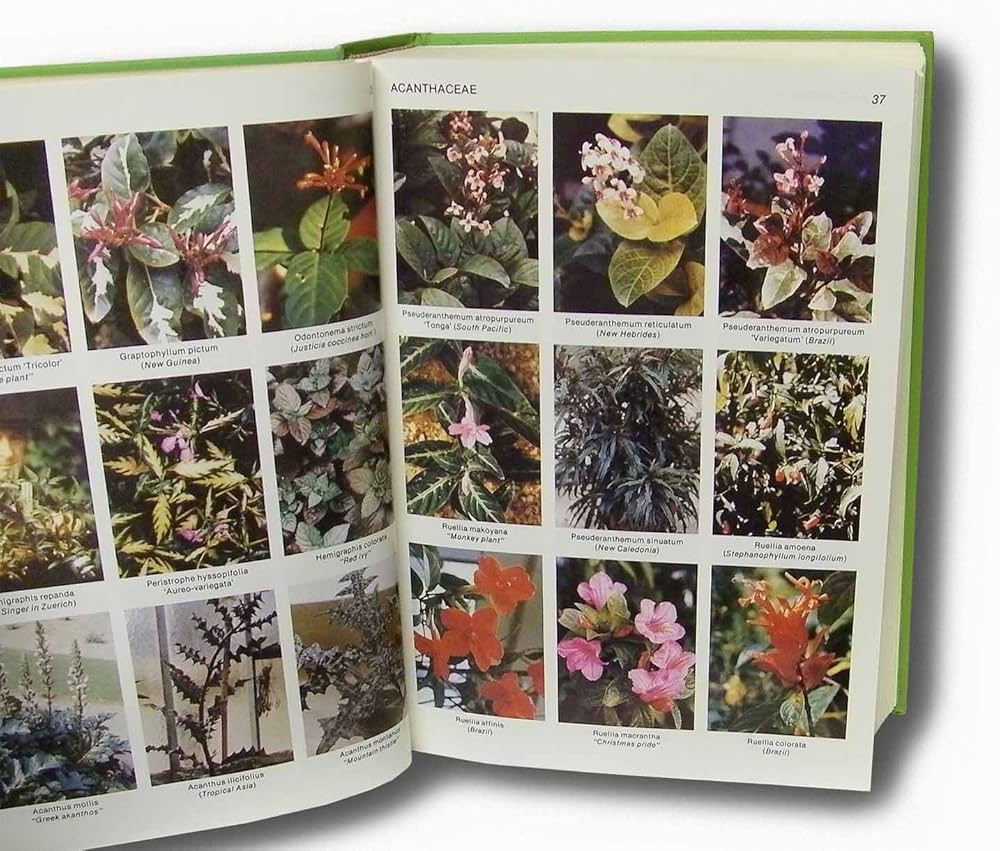 Tropica: Color Cyclopedia of Exotic Plants and Trees: Graf, A.B.