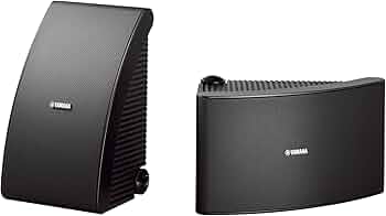 81fkZBrSRaL._AC_UF350,