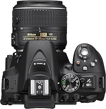 Amazon.com : Nikon D5300 24.2 MP CMOS Digital SLR Camera with 18
