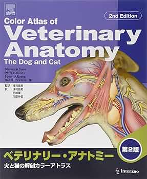 新イヌとネコの臨床解剖カラーアトラス チクサン出版社 DOG and CAT
