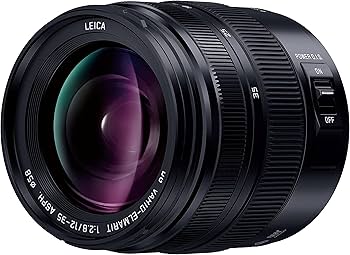 Amazon.com: Panasonic H-ES12035 Leica DG Vario-ELMARIT 12-35mm/F2