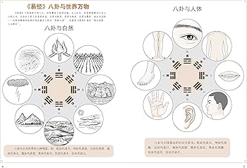 Amazon.com: 图解周易大全(全译插图版)(畅销版): 9787514329117: 贺