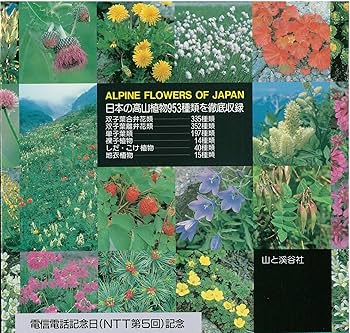 91-jO8OkN2L._AC_UF350,