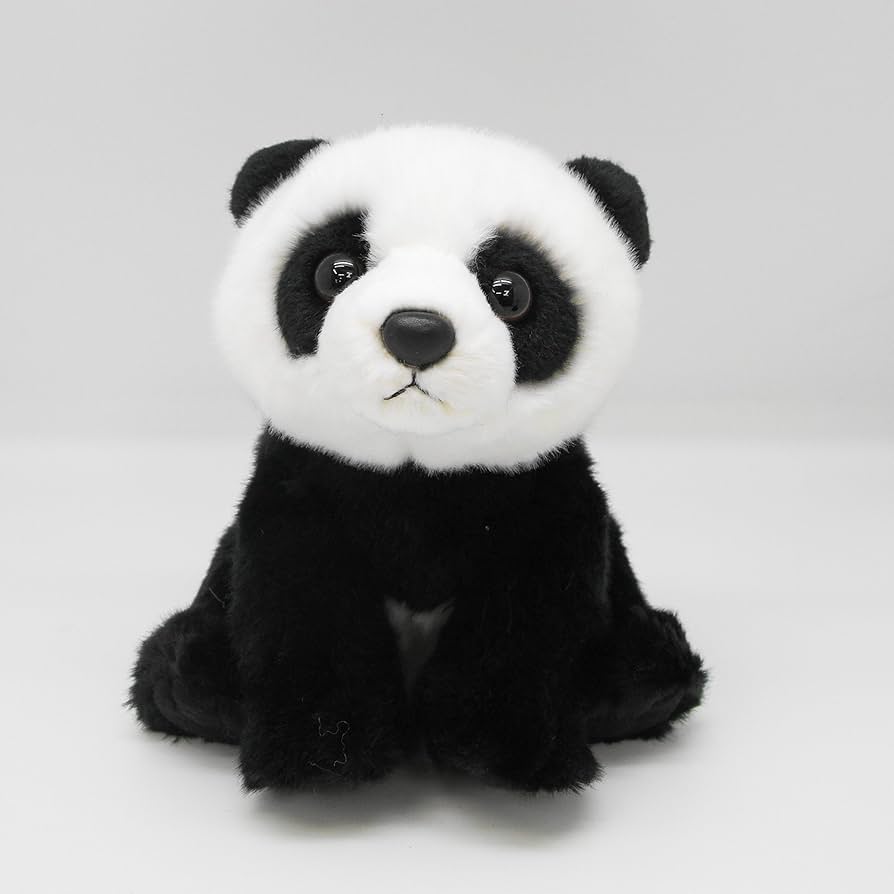 911kpbuo4-L._AC_UF894,