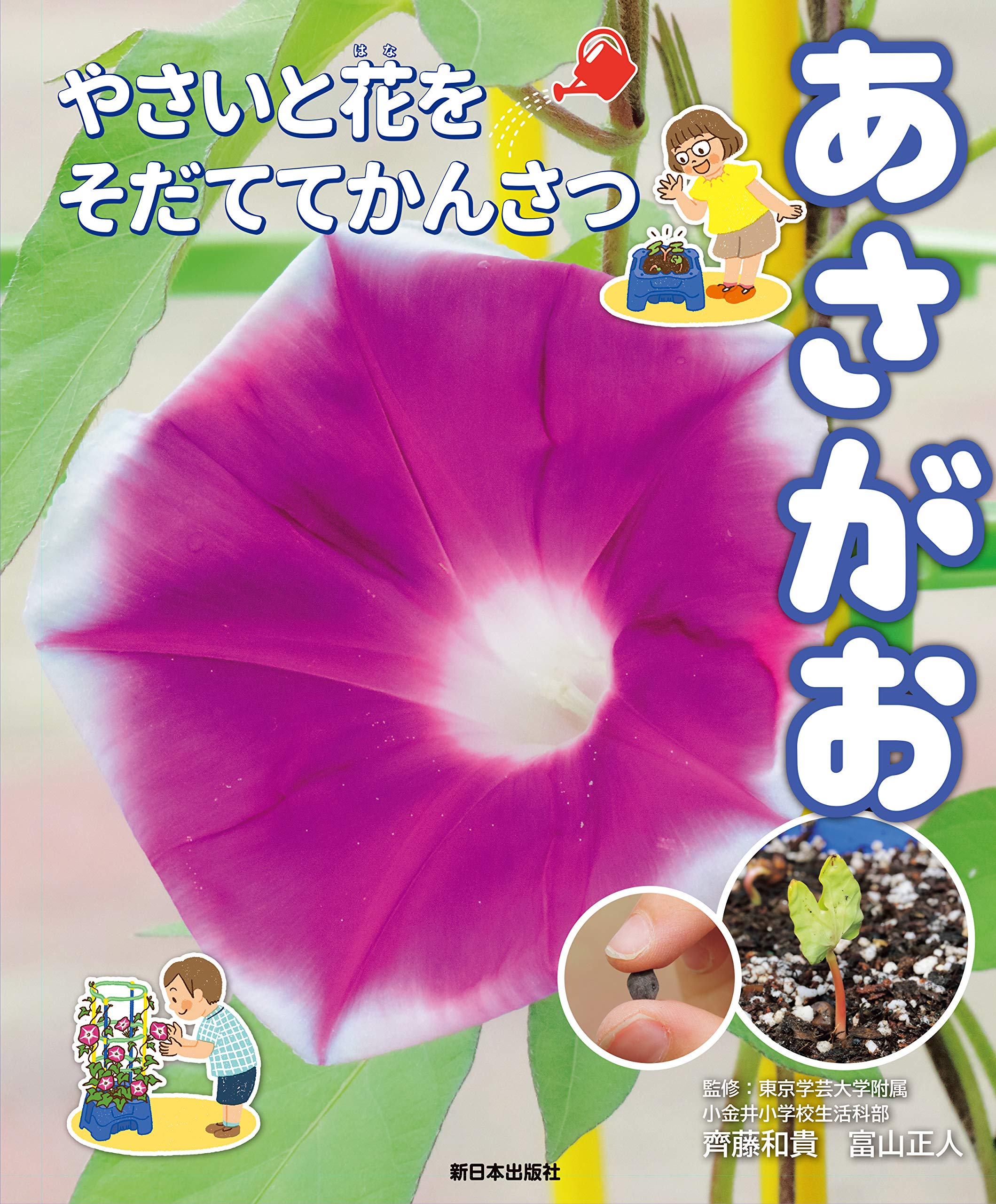 あさがお (やさいと花をそだててかんさつ) | 東京学芸大学附属小金井