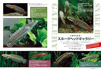 月刊アクアライフ 2018年 03 月号 スネークヘッドの世界 |本 | 通販